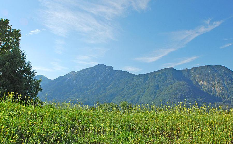 Boardinghouse Διαμέρισμα Bad Reichenhall Εξωτερικό φωτογραφία